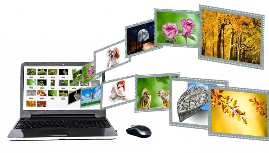 hình ảnh miễn phí cho website