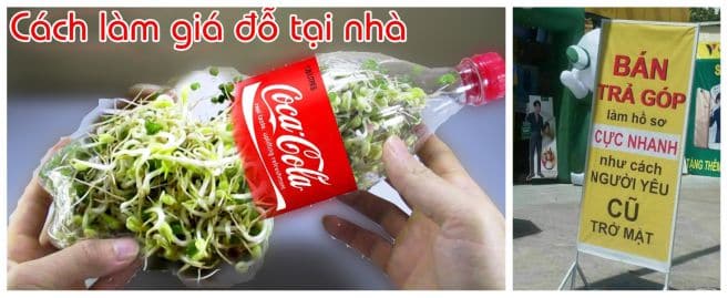 Content hay nói thay nước bọt