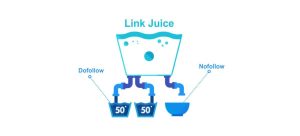 Link Juice Là Gì? Chiến Lược Link Building Hiệu Quả Với SEO